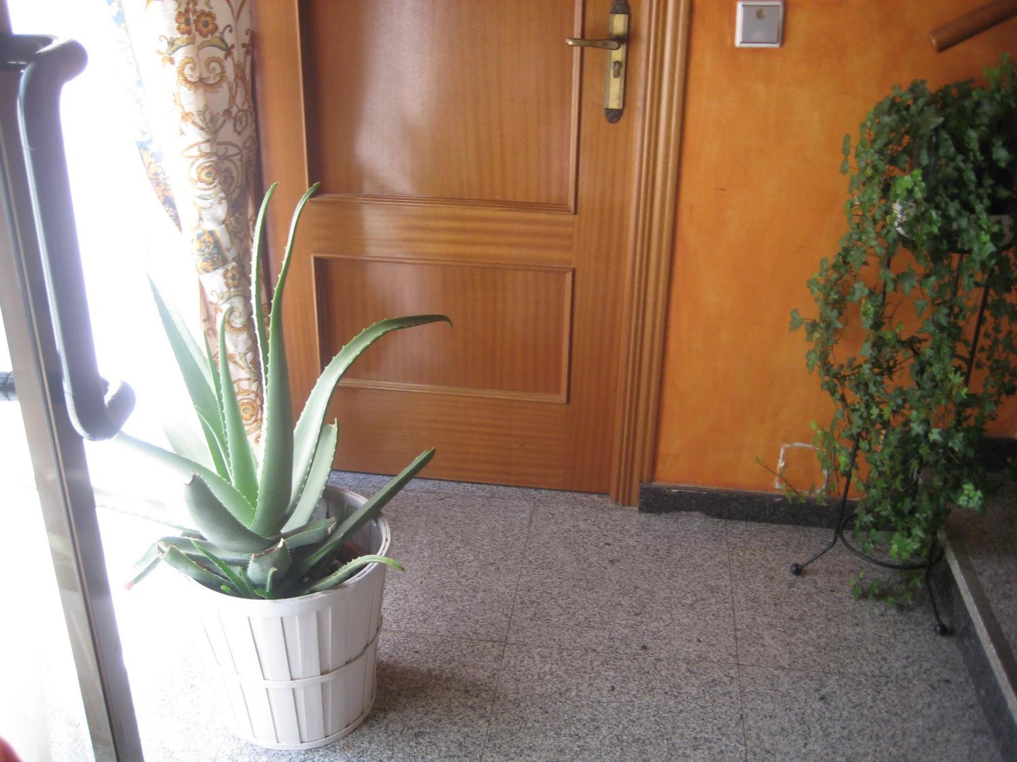 Hostal El Pinar Ávila Exteriér fotografie